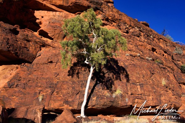 Australien Kings Canyon